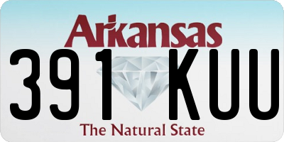 AR license plate 391KUU