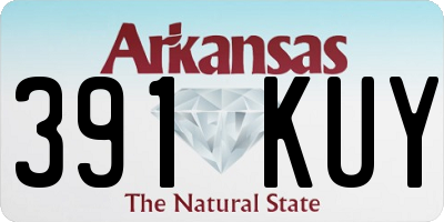 AR license plate 391KUY