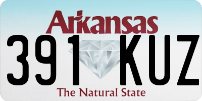 AR license plate 391KUZ