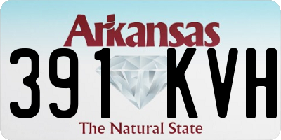 AR license plate 391KVH