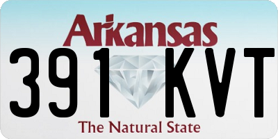 AR license plate 391KVT