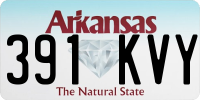 AR license plate 391KVY