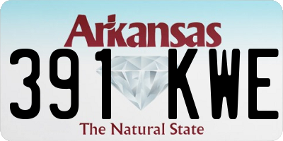 AR license plate 391KWE