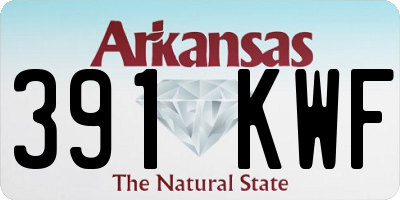AR license plate 391KWF