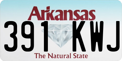 AR license plate 391KWJ