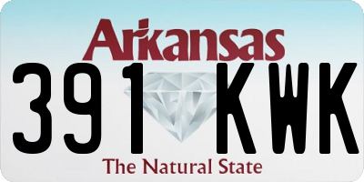 AR license plate 391KWK