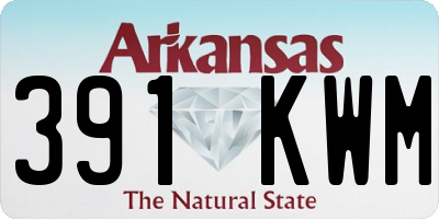 AR license plate 391KWM