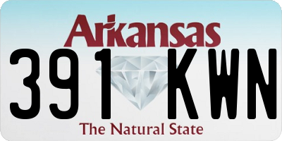 AR license plate 391KWN