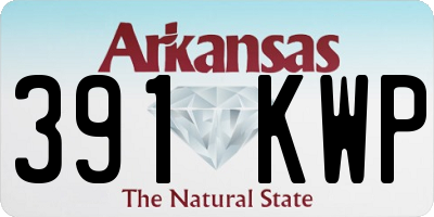 AR license plate 391KWP