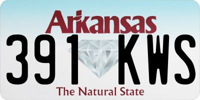 AR license plate 391KWS