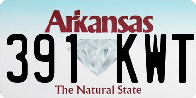 AR license plate 391KWT