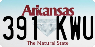 AR license plate 391KWU