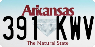 AR license plate 391KWV