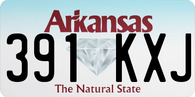 AR license plate 391KXJ