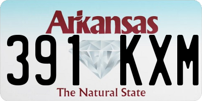 AR license plate 391KXM