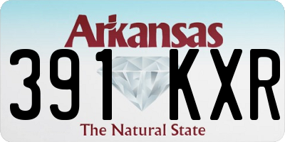 AR license plate 391KXR