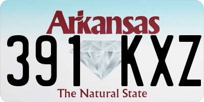 AR license plate 391KXZ