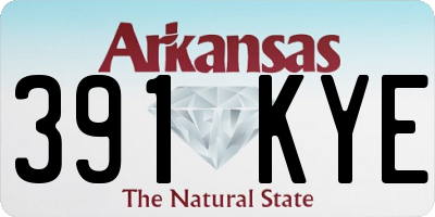 AR license plate 391KYE