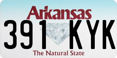 AR license plate 391KYK