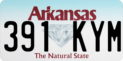 AR license plate 391KYM