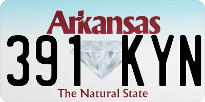 AR license plate 391KYN