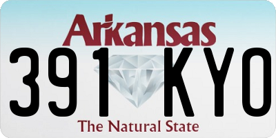 AR license plate 391KYO