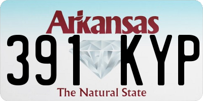 AR license plate 391KYP