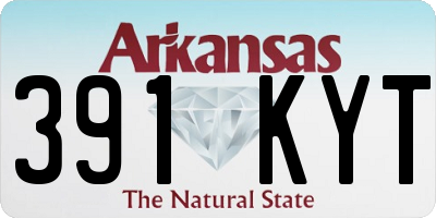 AR license plate 391KYT