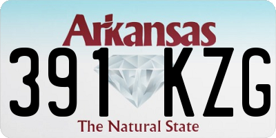 AR license plate 391KZG