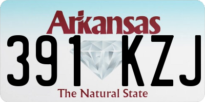 AR license plate 391KZJ