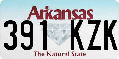 AR license plate 391KZK