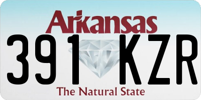 AR license plate 391KZR