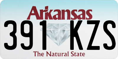AR license plate 391KZS