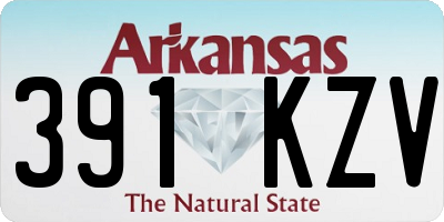 AR license plate 391KZV