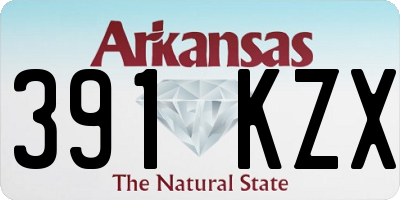 AR license plate 391KZX