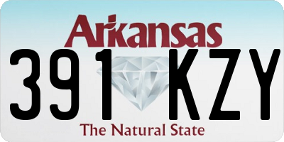 AR license plate 391KZY