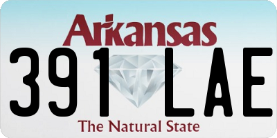 AR license plate 391LAE