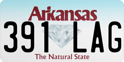 AR license plate 391LAG