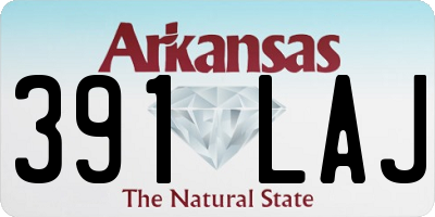 AR license plate 391LAJ