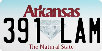 AR license plate 391LAM