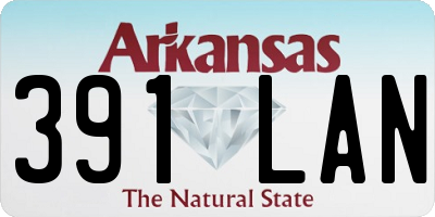 AR license plate 391LAN