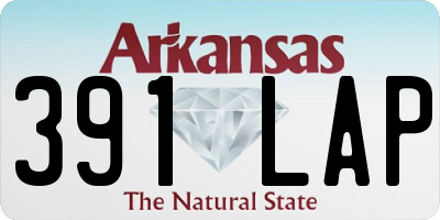 AR license plate 391LAP