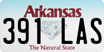 AR license plate 391LAS