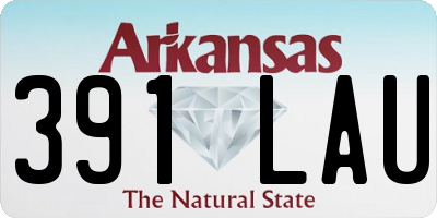 AR license plate 391LAU