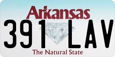 AR license plate 391LAV