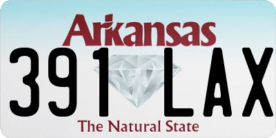 AR license plate 391LAX