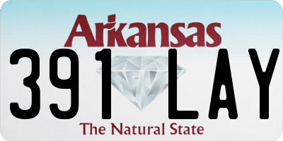 AR license plate 391LAY