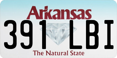AR license plate 391LBI