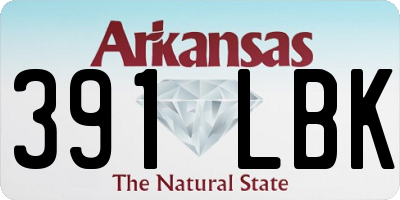 AR license plate 391LBK