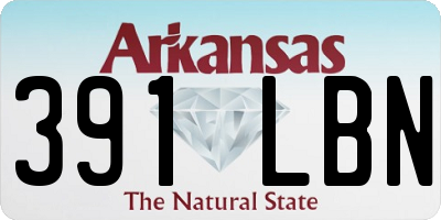 AR license plate 391LBN